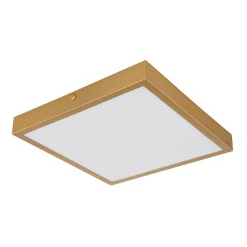 Globo - LED Plafonjera LED/15W/230V 25x25 cm