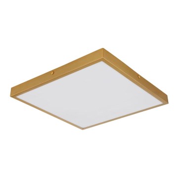 Globo - LED Plafonjera LED/22W/230V 35x35 cm