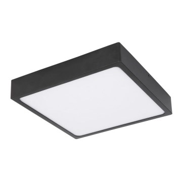 Globo - LED Plafonjera LED/22W/230V