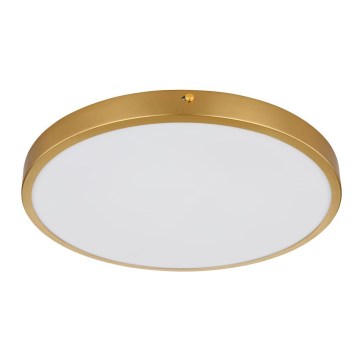 Globo - LED Plafonjera LED/22W/230V pr. 35 cm