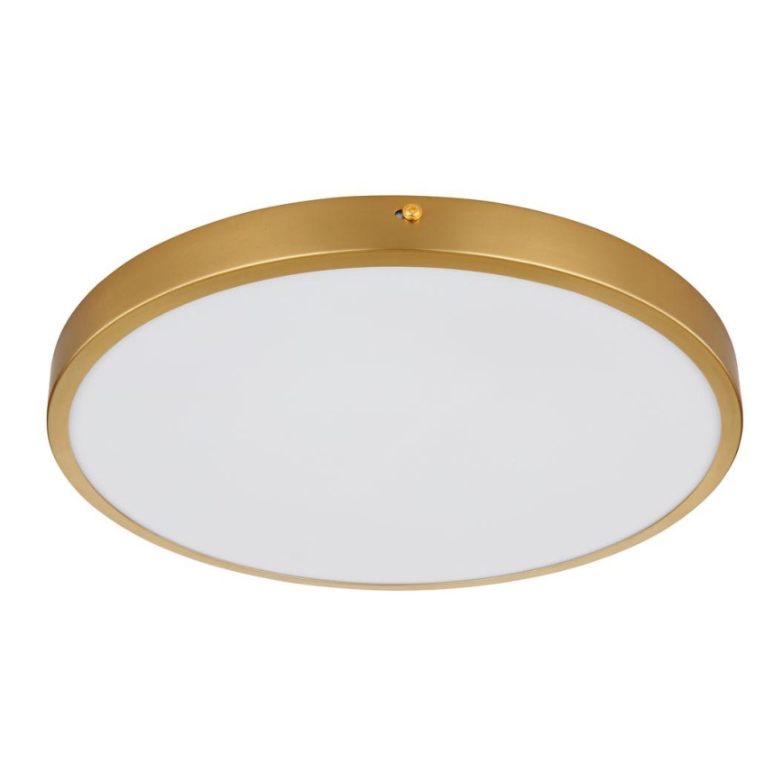 Globo - LED Plafonjera LED/22W/230V pr. 35 cm