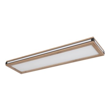 Globo - LED Plafonjera LED/24W/230V 20x80 cm