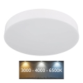 Globo - LED Plafonjera LED/24W/230V 3000K/4000K/6500K pr. 30 cm bela