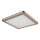 Globo - LED Plafonjera LED/24W/230V 45x45 cm