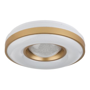 Globo - LED Plafonjera LED/24W/230V