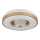 Globo - LED Plafonjera LED/24W/230V