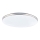 GLOBO - LED Plafonjera LED/24W/230V