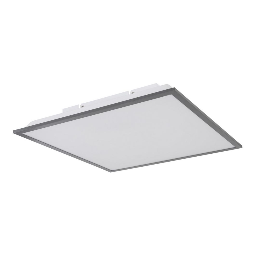 Globo - LED Plafonjera LED/24W/230V