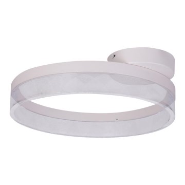 Globo - LED Plafonjera LED/24W/230V
