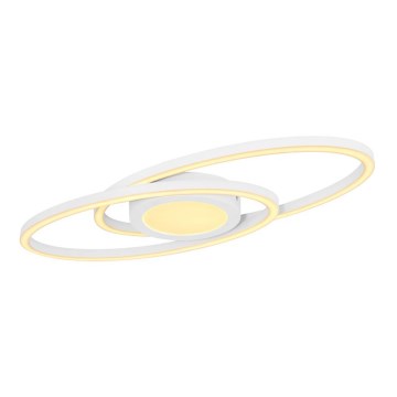 Globo - LED Plafonjera LED/24W/230V