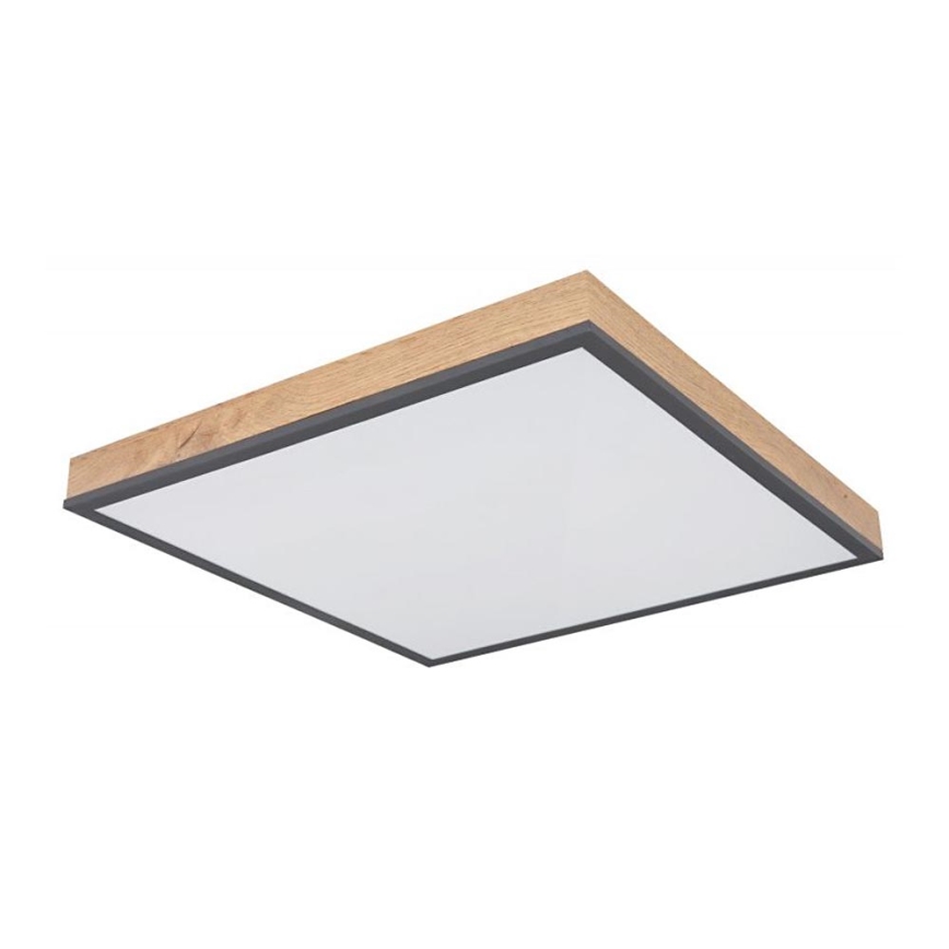 Globo - LED Plafonjera LED/24W/230V