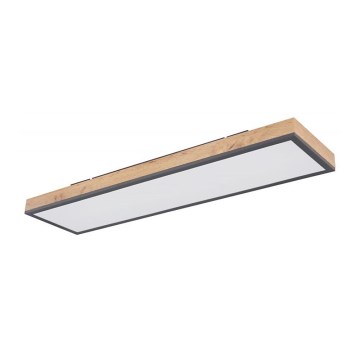 Globo - LED Plafonjera LED/24W/230V