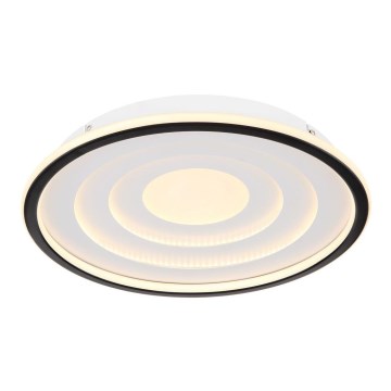 Globo - LED Plafonjera LED/24W/230V