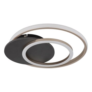 Globo - LED Plafonjera LED/24W/230V