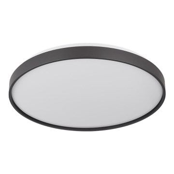 Globo - LED Plafonjera LED/24W/230V