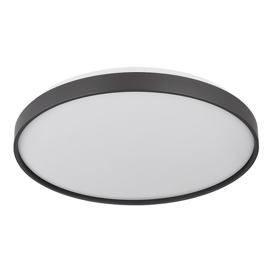 Globo - LED Plafonjera LED/24W/230V