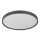 Globo - LED Plafonjera LED/24W/230V