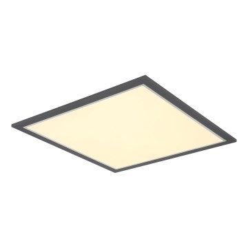 Globo - LED Plafonjera LED/24W/230V