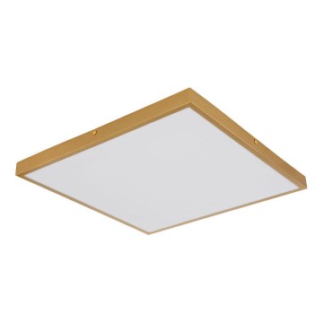 Globo - LED Plafonjera LED/30W/230V 45x45 cm