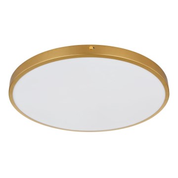 Globo - LED Plafonjera LED/30W/230V pr. 45 cm