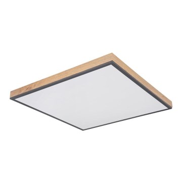 Globo - LED Plafonjera LED/36W/230V