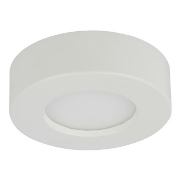 GLOBO - LED Plafonjera LED/6W/230V