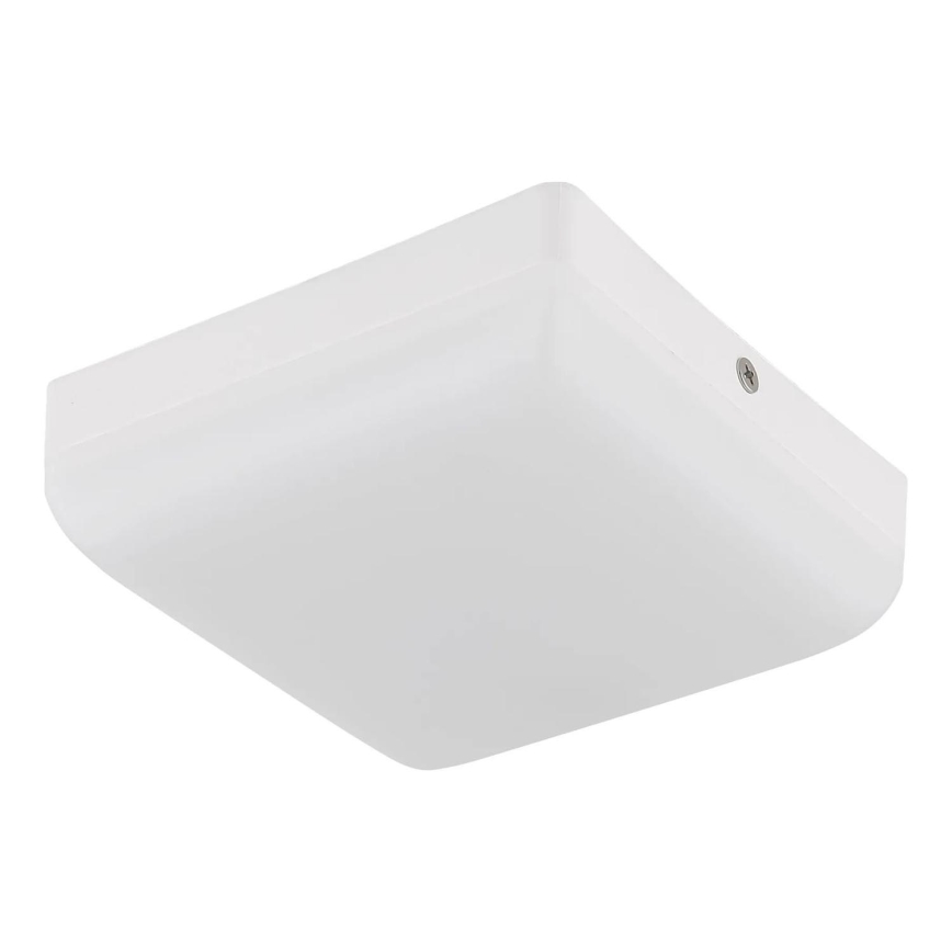 Globo - LED Plafonjera LED/8W/230V 4000K 12x12 cm bela