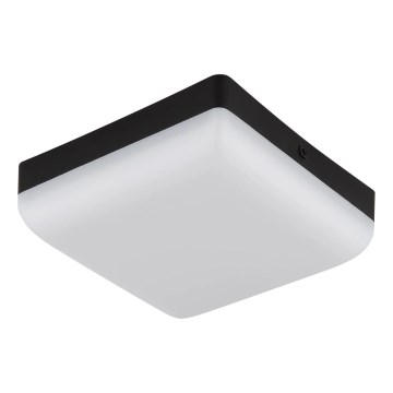 Globo - LED Plafonjera LED/8W/230V 4000K 12x12 cm crno