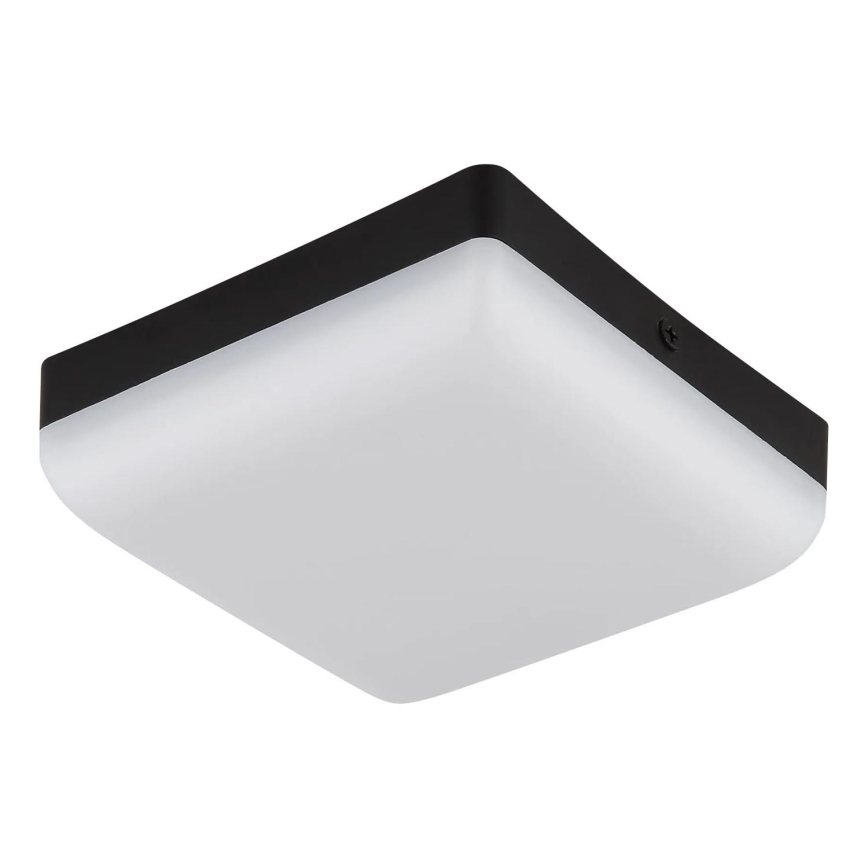 Globo - LED Plafonjera LED/8W/230V 4000K 12x12 cm crno
