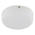 Globo - LED Plafonjera LED/8W/230V 4000K pr. 12 cm bela