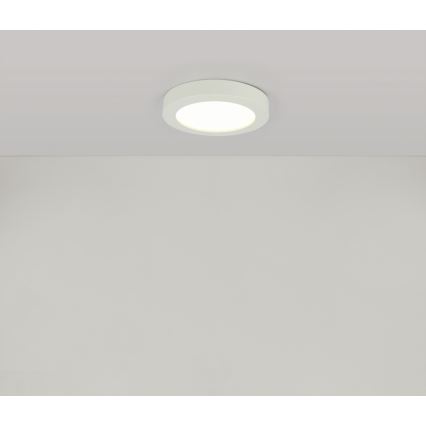 Globo - LED Plafonjera za kupatilo 1xLED/18W/230V IP44
