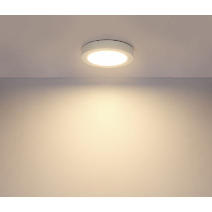 Globo - LED Plafonjera za kupatilo 1xLED/18W/230V IP44