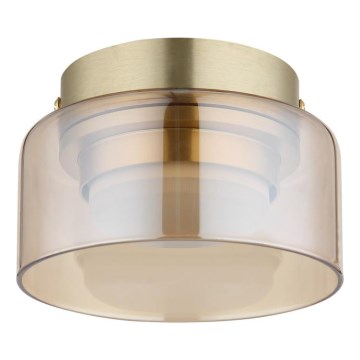 Globo - LED plafonska svetiljka 1xGX53/6W/230V prečnik 13 cm zadimljena/braon