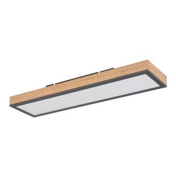 Globo - LED plafonsko svetlo LED/18W/230V