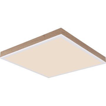 Globo - LED Prigušiva plafonjera LED/24W/230V 2700-6500K + Daljinski upravljač braon/bela