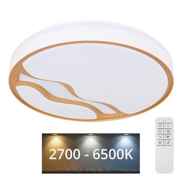 Globo - LED Prigušiva plafonjera LED/30W/230V 2700K/4000K/6500K + Daljinski upravljač