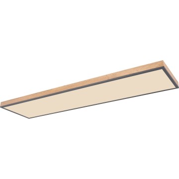 Globo - LED Prigušiva plafonjera LED/36W/230V 2700-6500K + Daljinski upravljač braon/sivo