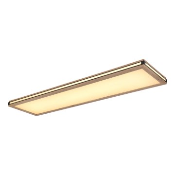 Globo - LED Prigušiva plafonjera LED/36W/230V 3000K 30x120 cm