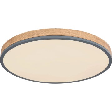 Globo - LED Prigušiva plafonjera LED/40W/230V 2700-6500K pr. 60 cm + Daljinski upravljač braon/sivo