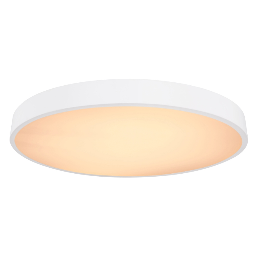 Globo - LED Prigušiva plafonjera LED/48W/230V 3000-6000K + Daljinski upravljač