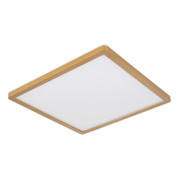 Globo - LED Prigušiva plafonjera za kupatilo LED/24W/230V 3000K IP44 42x42 cm mesing