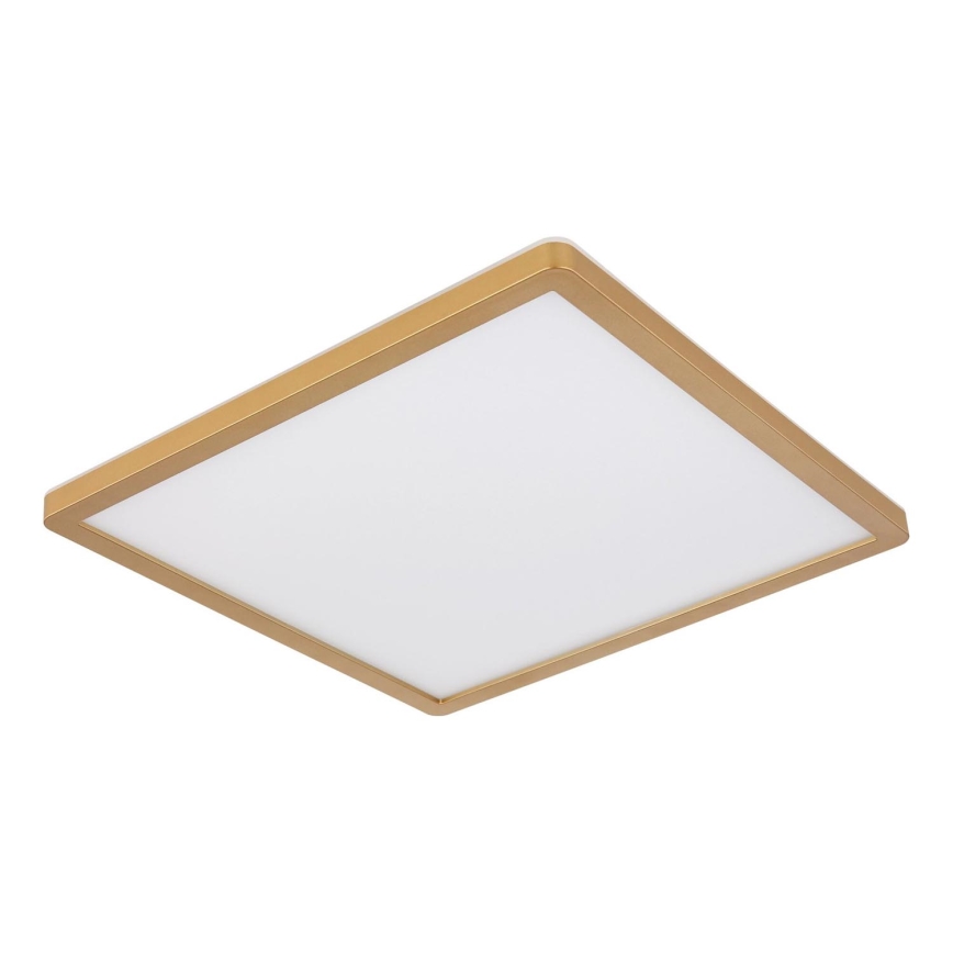 Globo - LED Prigušiva plafonjera za kupatilo LED/24W/230V 3000K IP44 42x42 cm mesing