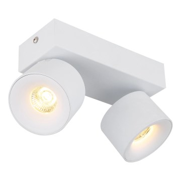 Globo - LED Reflektorska lampa 2xLED/6W/230V bela