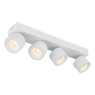 Globo - LED Reflektorska lampa 4xLED/6W/230V bela