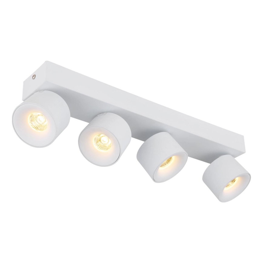 Globo - LED Reflektorska lampa 4xLED/6W/230V bela