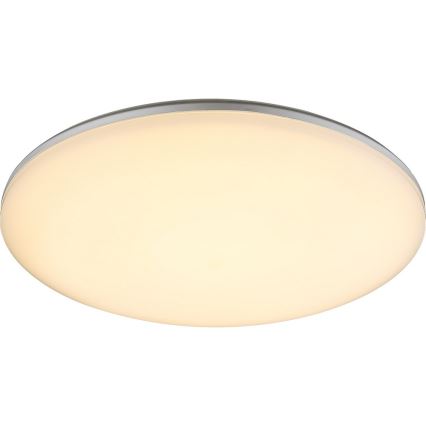 Globo - LED Spoljašnja plafonjera 1xLED/24W/230V IP54