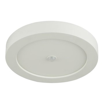 Globo - LED Spoljašnja plafonjera sa senzorom 1xLED/18W/230V
