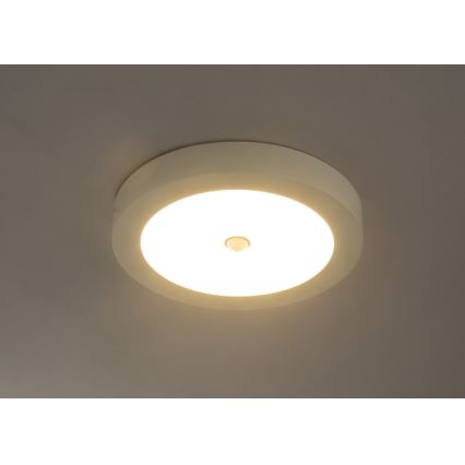 Globo - LED Spoljašnja plafonjera sa senzorom 1xLED/18W/230V