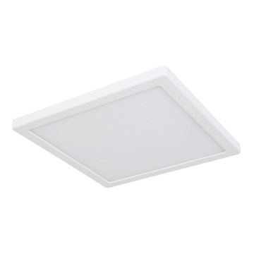 Globo - LED stropna plafonjera LED/24W/230V 3000/4000/6500K bela