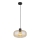 Globo - Luster na sajli 1xE27/40W/230V pr. 28 cm prozirna